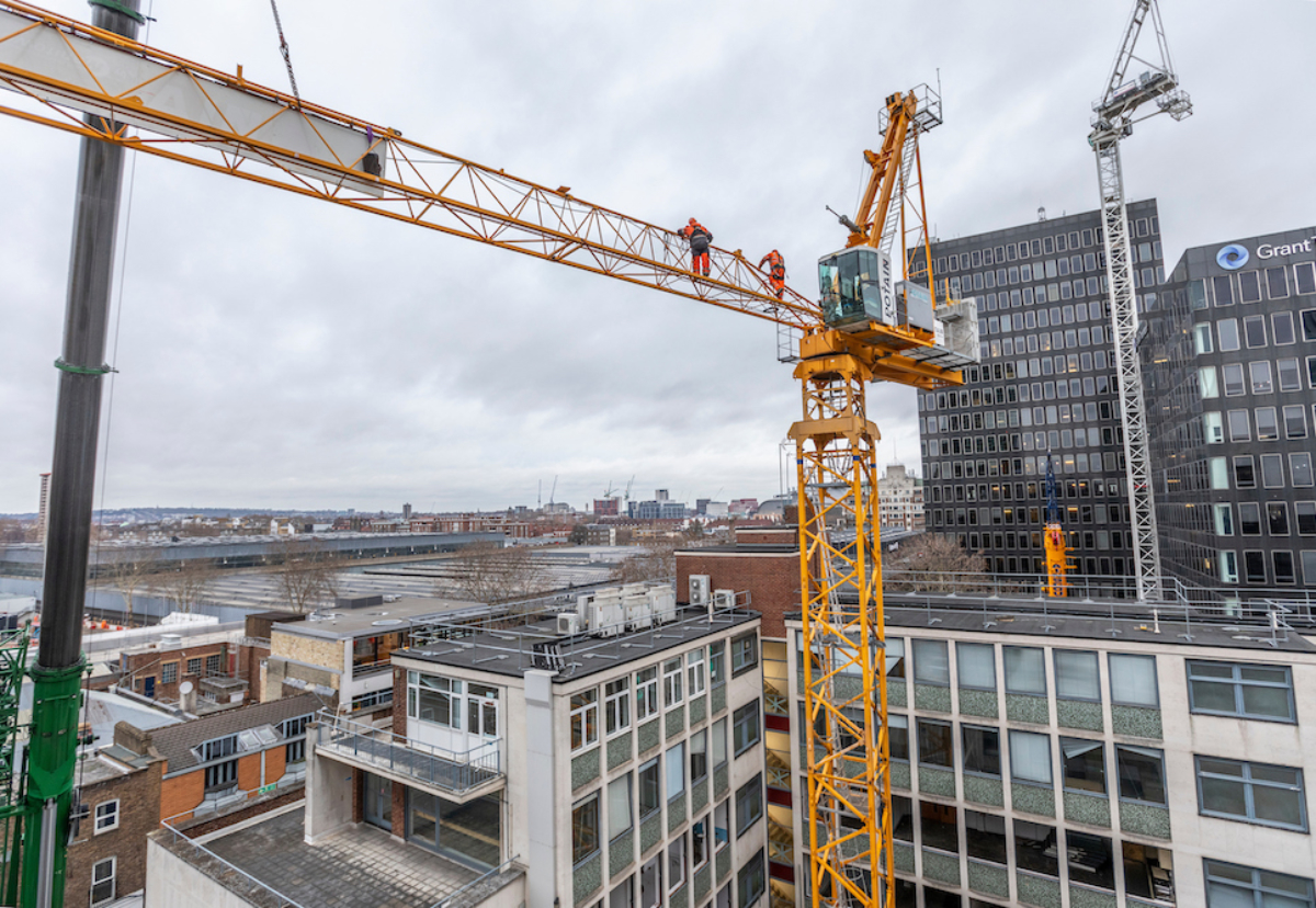 John F Hunt's yellow crane and McGee's white crane