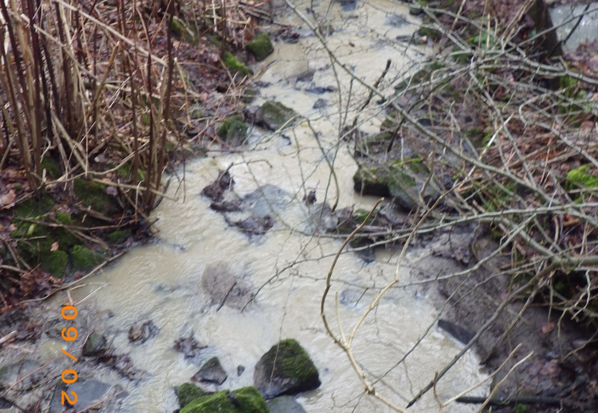 Environment Agency photo of the polluted watercourse