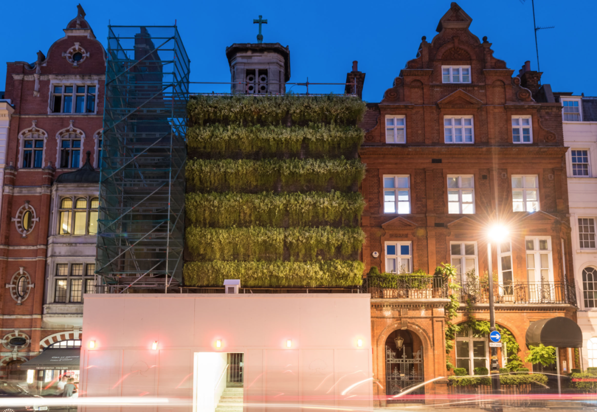 Scaffolding fitted with a living wall can reduce air pollution by up to 20% and dampen noise by 10 decibels