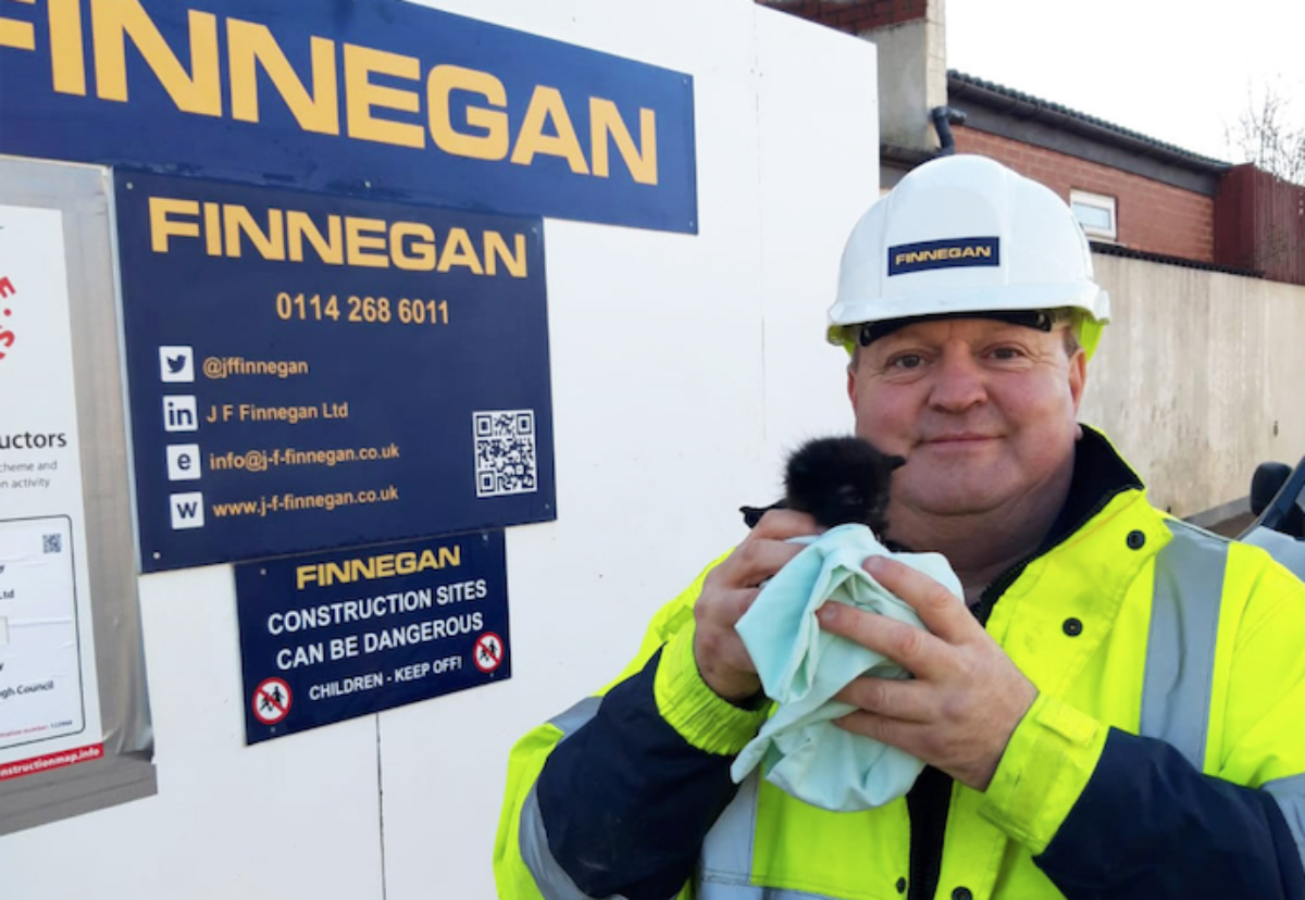 Site operative Dale Duckworth and the rescued kitten