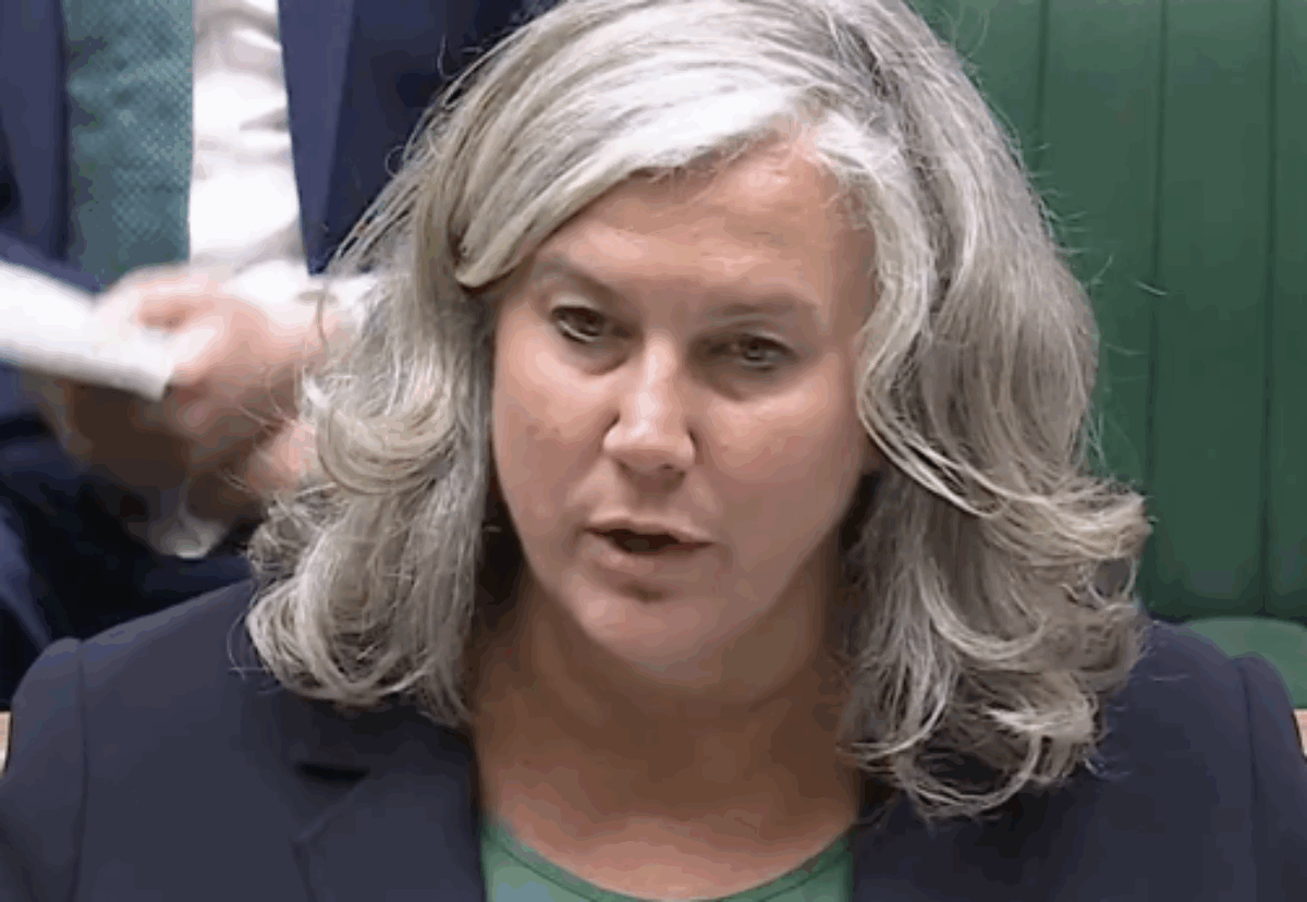 Transport secretary admits project is in an 'appalling mess' and will take a year to reset