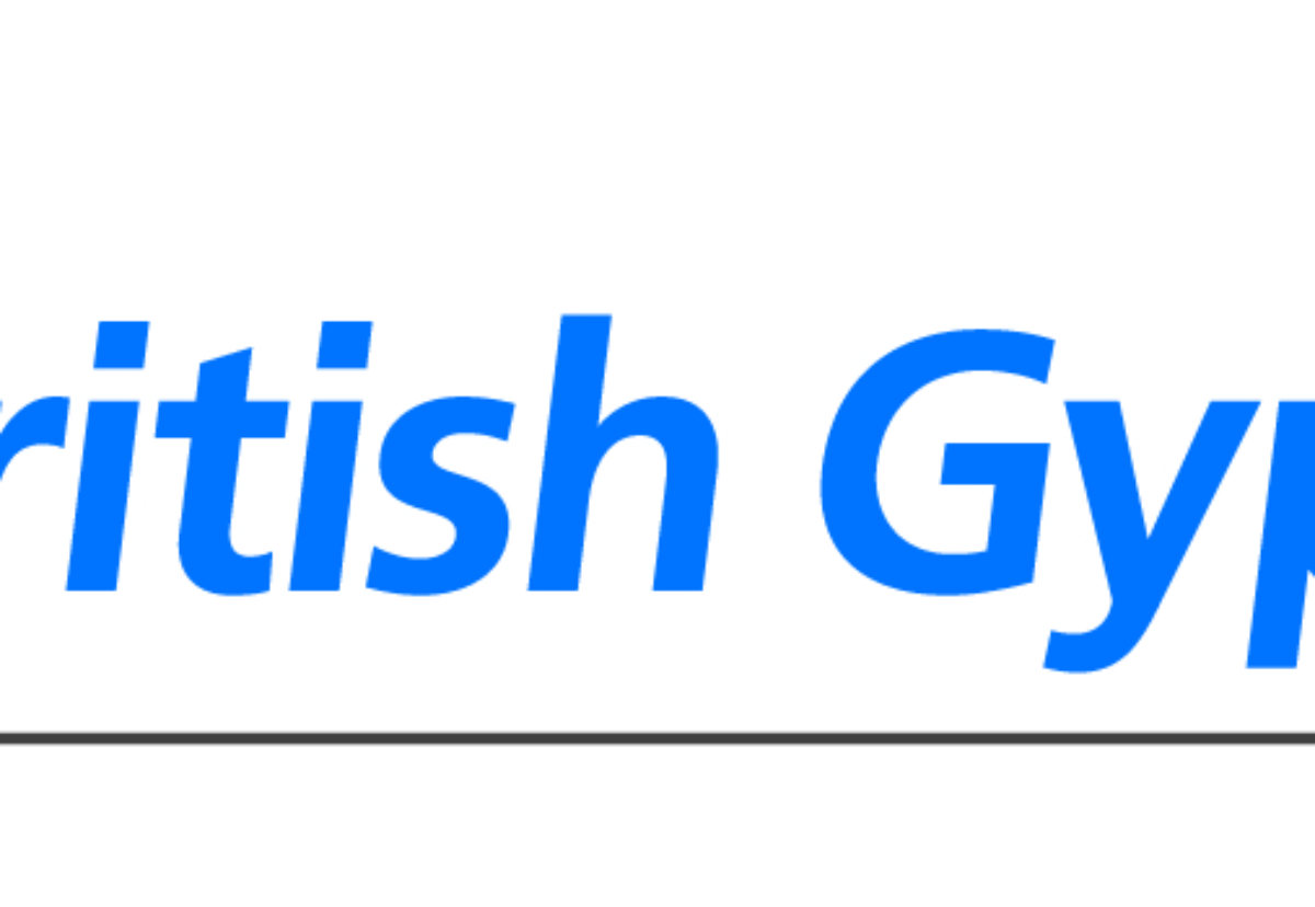  British Gypsum  Construction Enquirer News