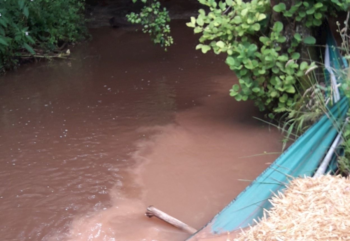 NRW photo showing the silty river